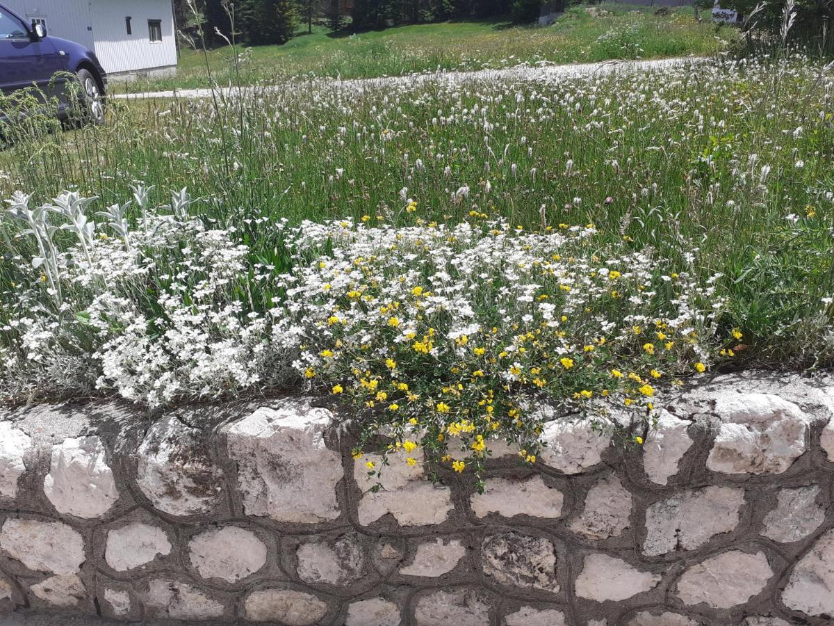 Milka Hotel Žabljak Екстериор снимка